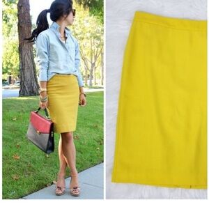 NEW | CABI Rare Find -  Pencil Skirt